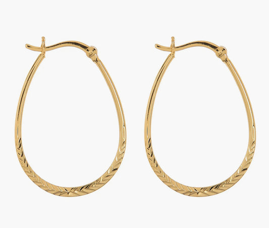 Timeless Hoops
