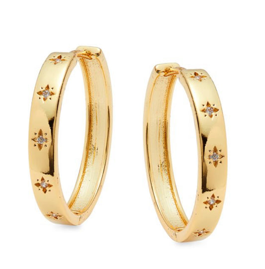 Eva Gold Plated Earrings